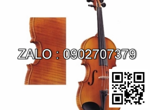 Đàn Violin Harper AGW 208-2/4