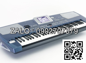 Đàn Organ Korg Pa500
