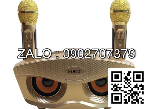 Loa Karaoke SD 306 + 2 Mic