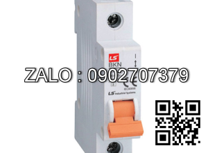 CB 63A/230-400V/3tep CB tep 3 cuc 63A,Type:BKN C63,230/400V,NSX:LS