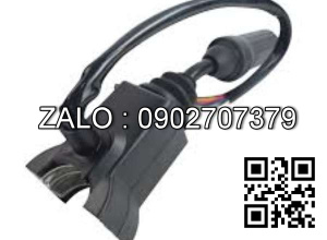 Cần điều khiểnTailift