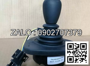 Cần điều khiển 7919040042,7919040031,7919040002,7919040050,791