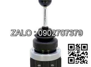 Cần điều khiển 