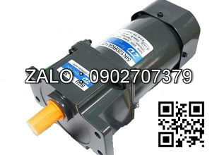 Motor 3 pha 4P 220/380V 0.4KW SKG-0.4-4 ( động cơ giảm tốc )