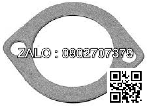 GASKET-THERMOSTAT 3001510