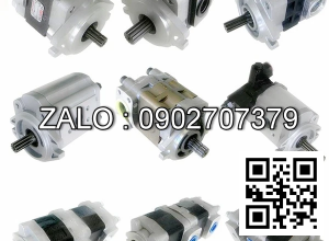 PUMP HYDRAULIC 69101-L1407