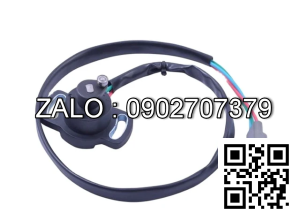 Biến trở chân ga linder