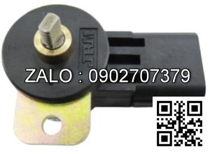 Biến trở chân ga sinko