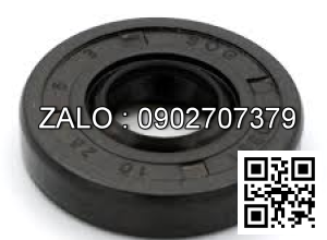 Phốt DIN 3760- AS(65X100X12) - (II)