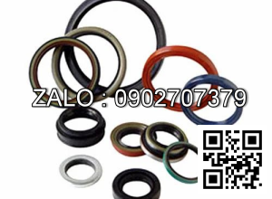 Bộ phốt 180/100 NOK JAPAN