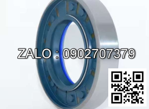 Phốt lò xo 1602001 30x44x11 30*44*11