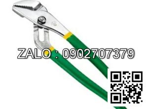 Kìm mỏ quạ Cao cấp Asaki 10/250mm AK-8379