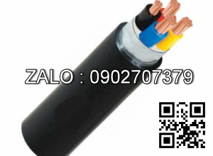 Cáp điện lực hạ thế (ruột đồng) CV-300 (61/2.52)-450/750V