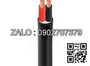 Cáp điện lực hạ thế (2 lõi, ruột đồng, cách điện PVC, vỏ PVC) CVV-2x6 (2x7/1.04) --300/500V