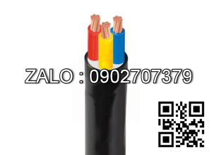 Cáp điện lực hạ thế (1 lõi, ruột đồng, cách điện PVC, vỏ PVC) CVV-300 (1x61/2.52) -0,6/1kV