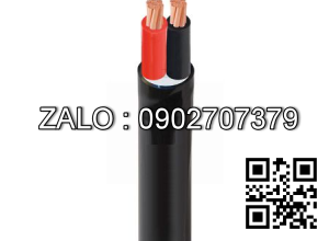 Cáp điện lực hạ thế (2 lõi, ruột đồng, cách điện PVC, vỏ PVC) CVV-2x22 (2x7/2) -0,6/1kV