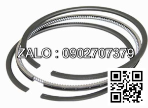 Bạc xéc măng NISSAN VQ20DE, VQ30DE VQ20DE, VQ30DE, VQ35DE, VQ40DE, VQ25DD