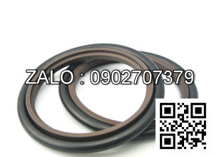 Phốt GIR.D.E , GIR/A 3600 OR-81450 D360x384x8,1 , 360x384x8.1 chất liệu PTFE + BRONZO