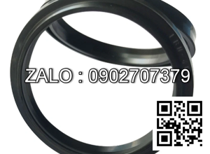 Phốt LBH 85x95x6/8 (nok)