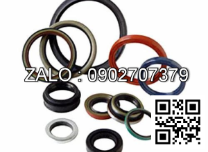 Bộ phốt 140/100 NOK JAPAN