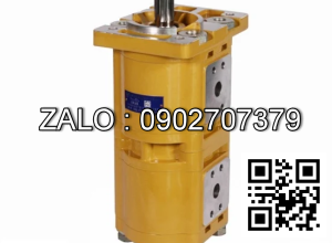 Bơm thủy lực CBQL-E525/F520-CFH CBQL-E525/F520-CFH