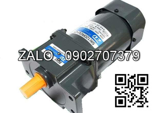 Bộ điều chỉnh tốc độ động cơ giảm tốc mini Wanshsin 6W-250W Model : WS-P