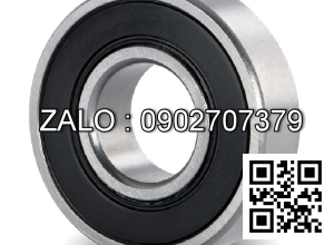 Vòng bi 21313KW33C3