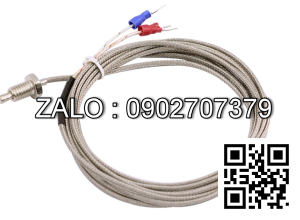 Dau do nhiet do 1DRN 6*5mm-2Wr/PN:739860