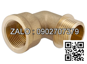 Co điếu ren trong thau DN100