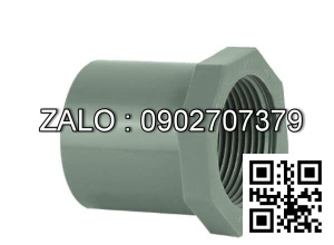 Nối ren trong nhựa DN08