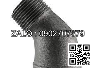 co lơi 45 ren ngoài Inox 304 DN100