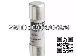 cầu chì 60A HYTSTER H2.50-3.00DX