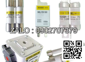 Cầu chì 150V 450A