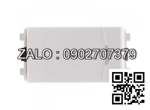 Công tắc 1 chiều Clipsal / Schneider 3031_1_2NM_G19