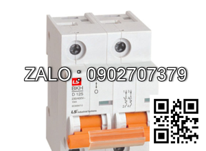 MCB LS BKH 125A 10KA 2P