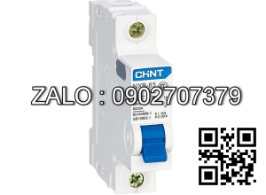 MCB Chint NXB-63 2A 6KA 1P