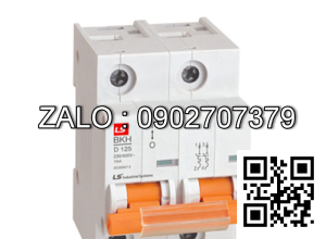 MCB LS BKH 80A 10kA 2P