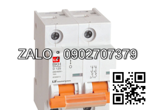 MCB LS BKH 100A 10kA 2P