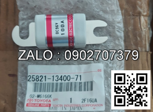 FUSE 100 AMP 25821-13400-71 TY