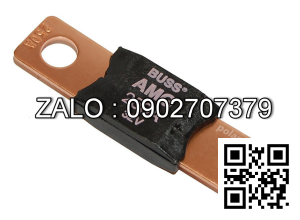 FUSE 250 AMP 2003096