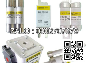 Cầu chì 300A-150V