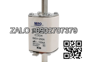 Cầu chì sứ, MIRO RS0 RGS32 aR 250A 200A 150A
