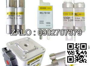Cầu chì 150V-100A