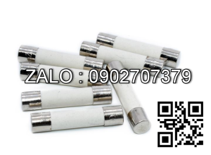 Cau chi ong su 5A/380V phi 10*38mm