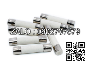 Cau chi ong su 25A, 400V, phi 10*38mm