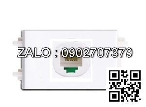 Ổ cắm mạng Clipsal / Schneider F30RJ5EM_WE_G19