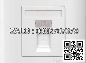 Ổ cắm điện thoại Clipsal / Schneider E8431RJS4_G19