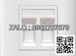 Bộ 2 ổ cắm điện thoại Clipsal / Schneider E8432RJS4_G19