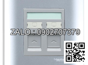 Bộ 2 ổ cắm mạng Clipsal / Schneider E8432RJS_5_SA_G19