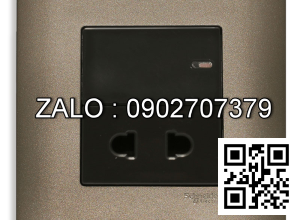 Ổ cắm đơn 2 chấu Clipsal / Schneider E8415U_SZ_G19